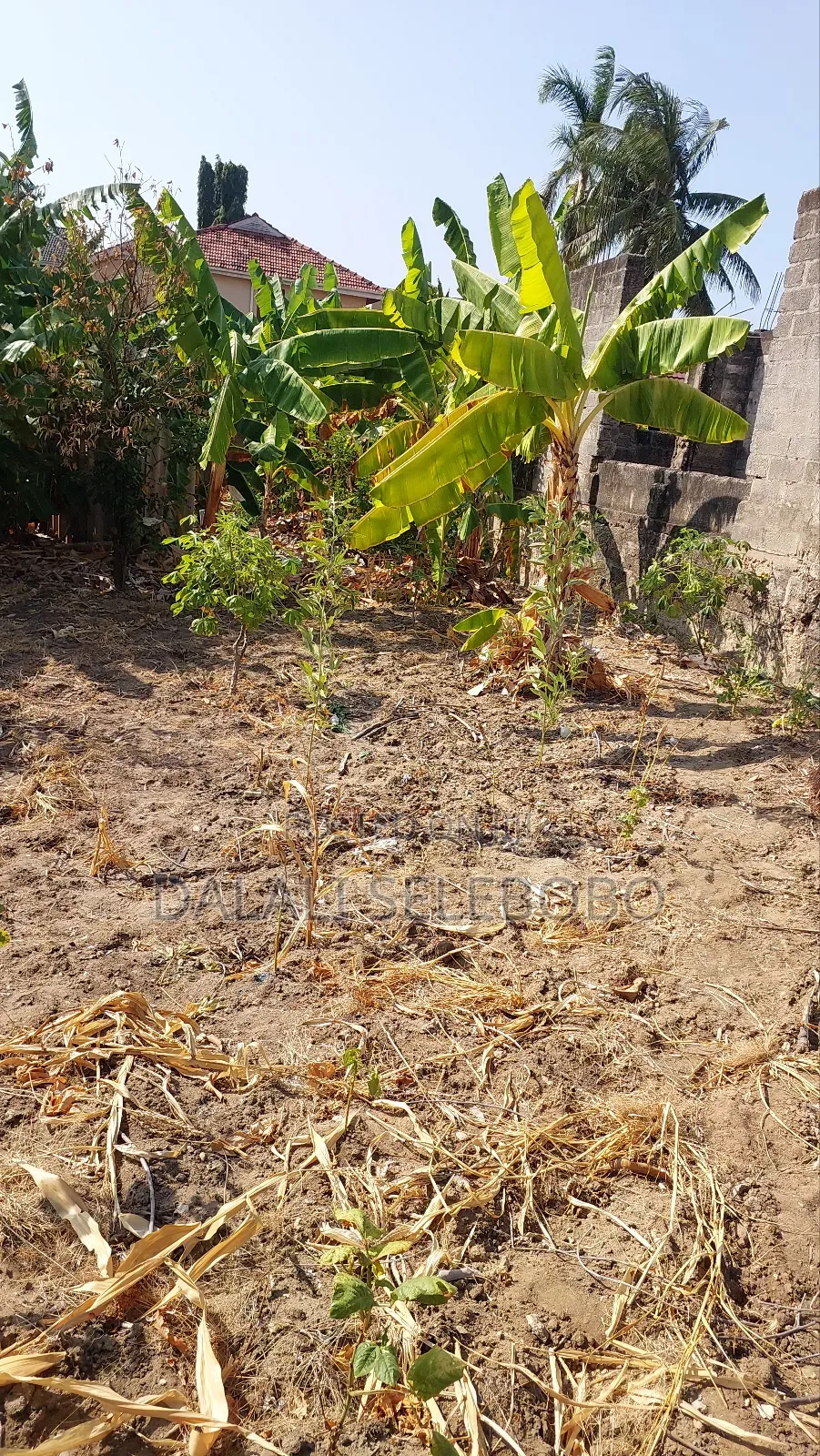 Plot Mbez Upande Wa Bahari