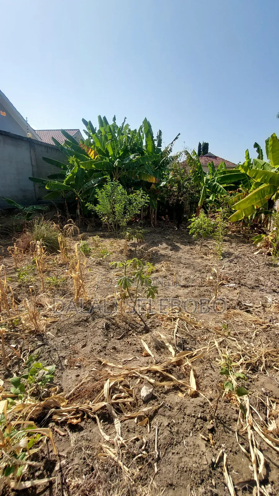 Plot Mbez Upande Wa Bahari