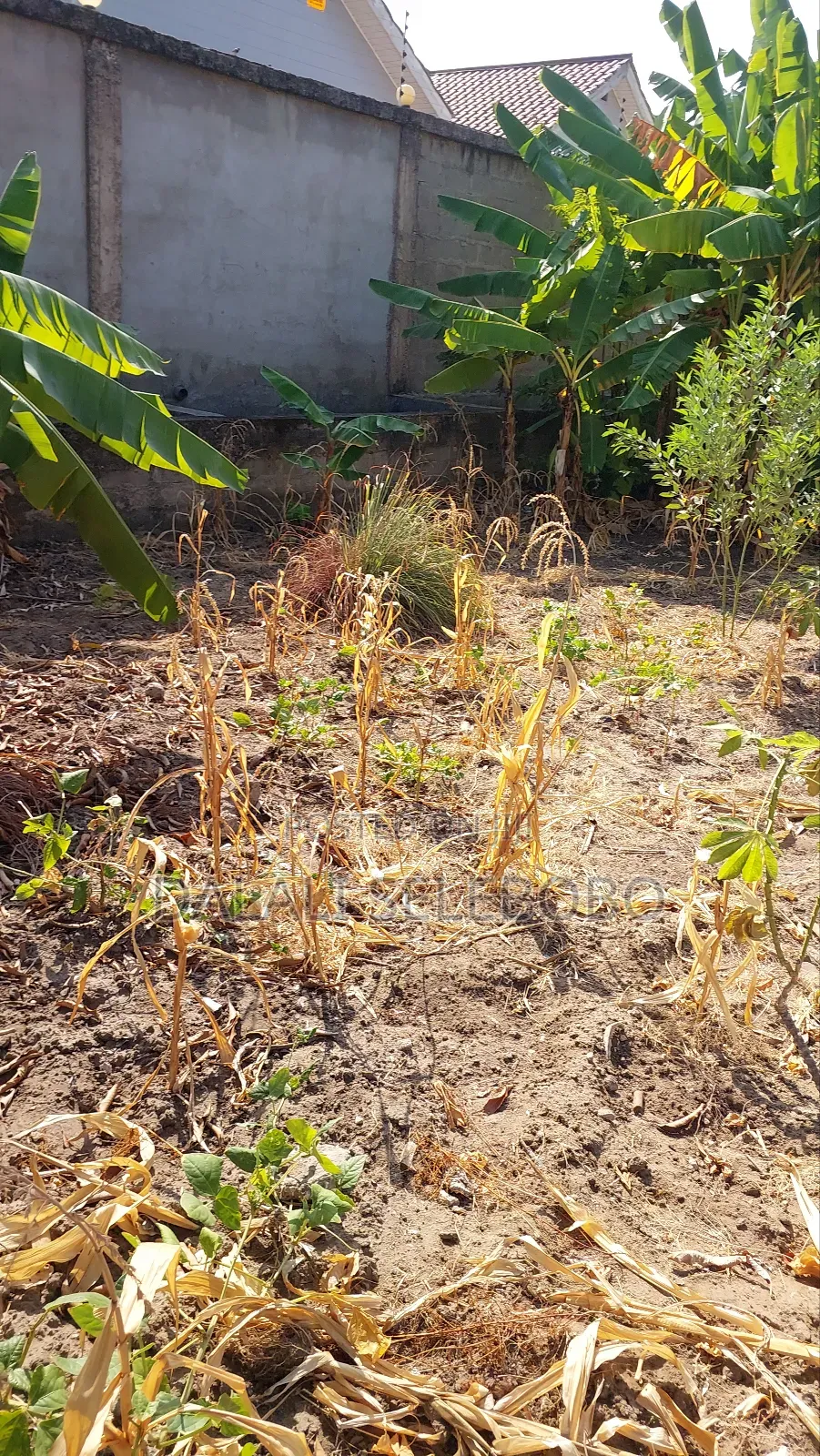 Plot Mbez Upande Wa Bahari