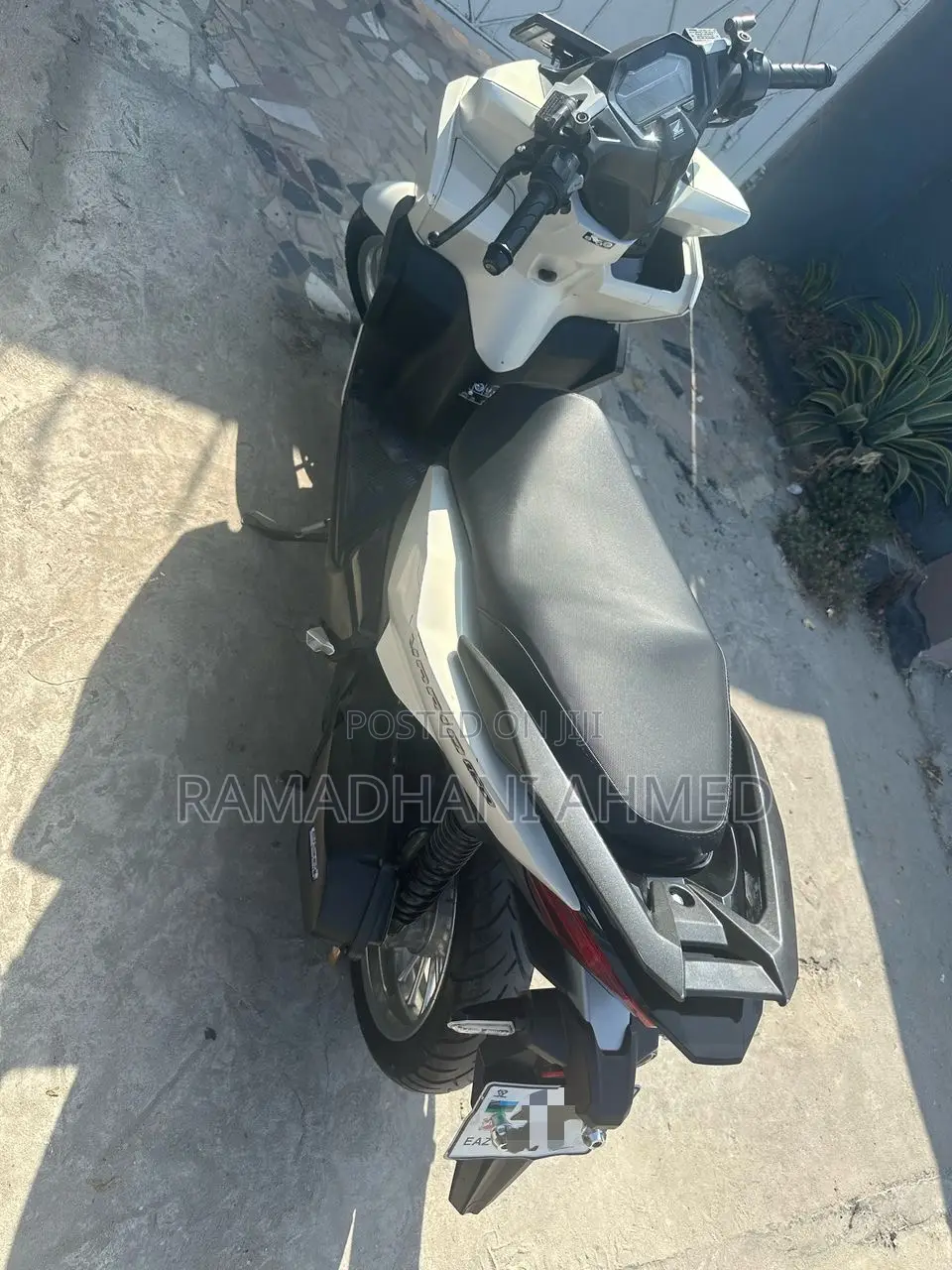 Honda 2024 White