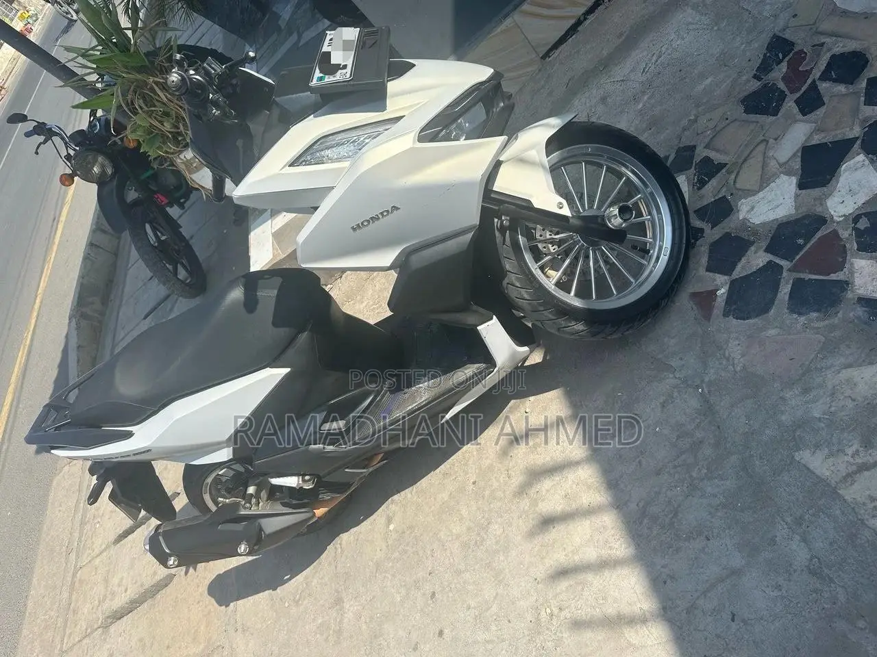 Honda 2024 White
