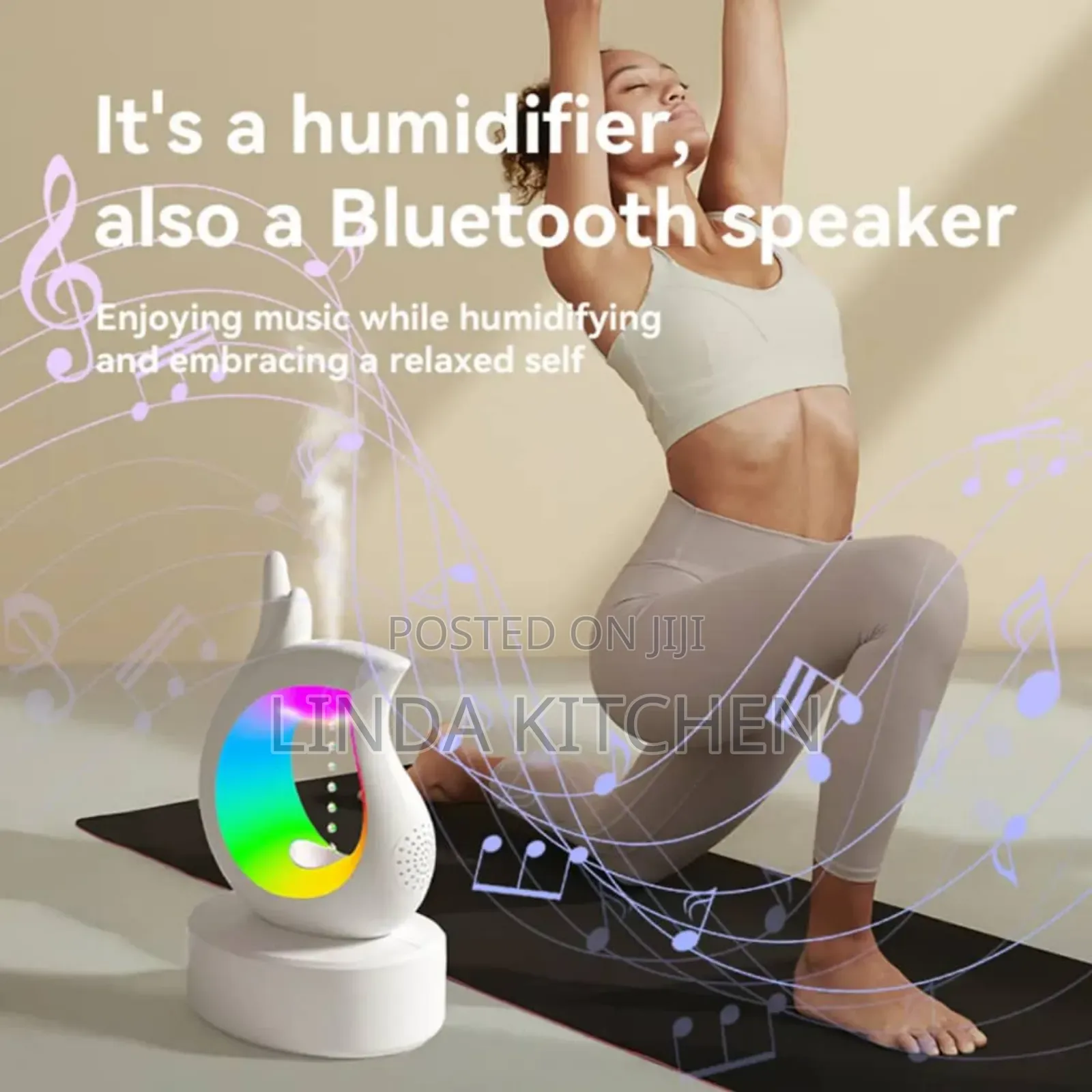2 in 1 Humidifier and Bluetooth Speakers