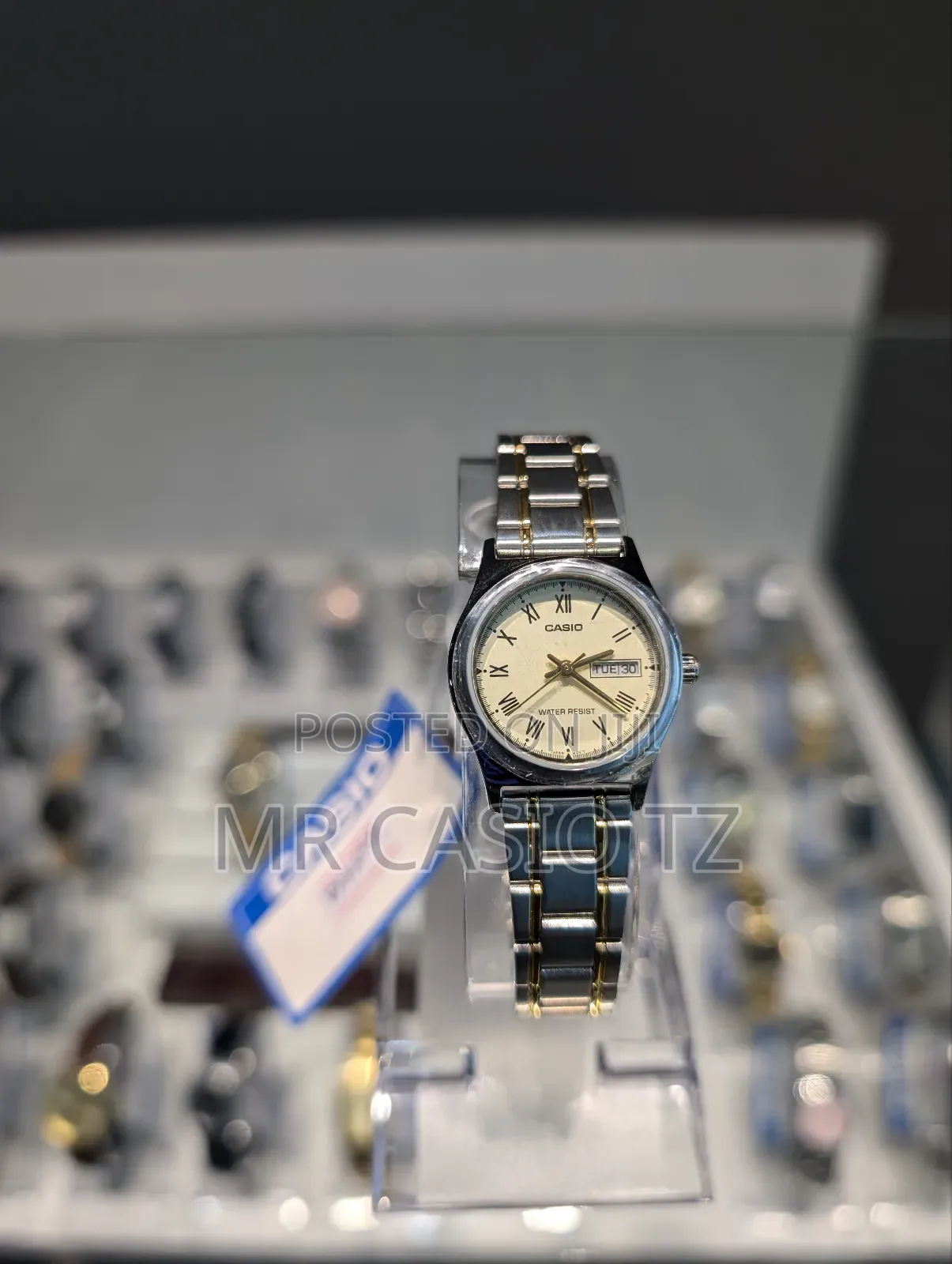 Casio Watch for Women (Ltp-V006sg-9budf)