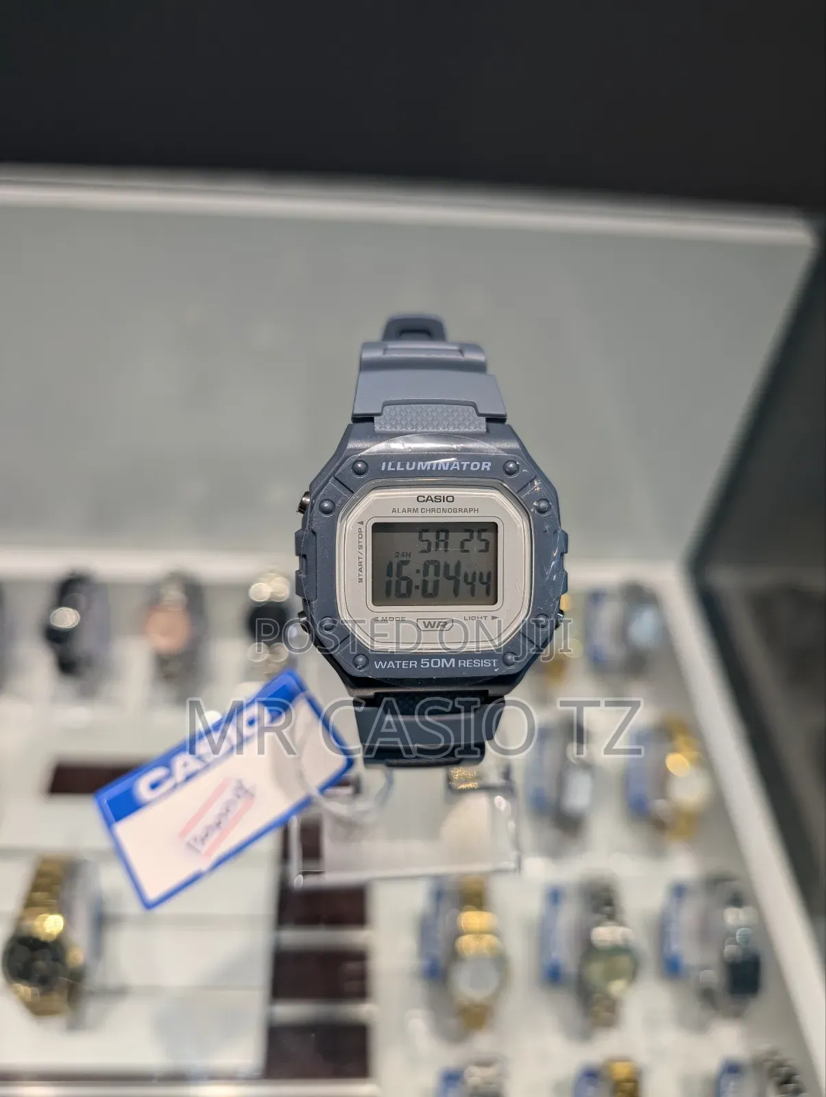 Casio Watch for Men (W-218hc-2avdf)