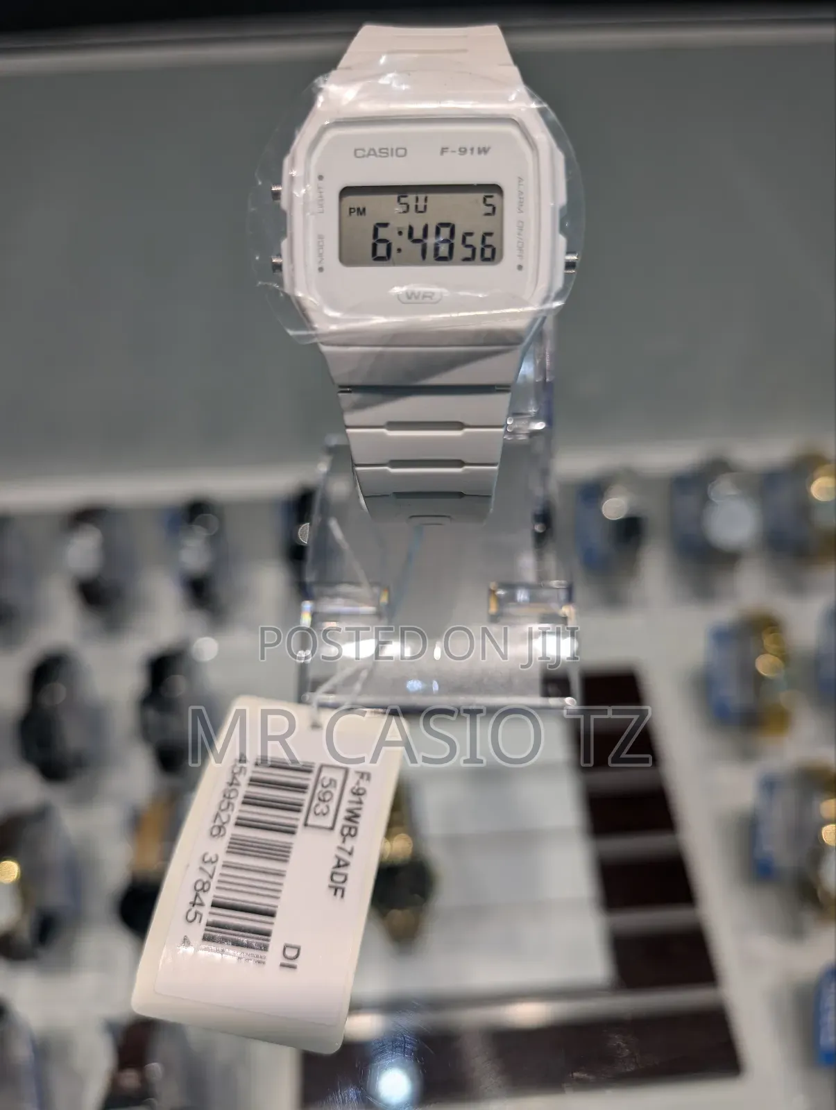 Casio Watch for Men (F-91wb-7adf)