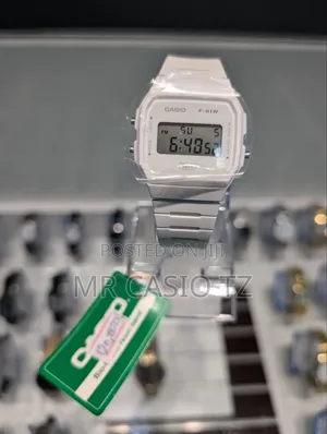 Casio Watch for Men (F-91wb-7adf)