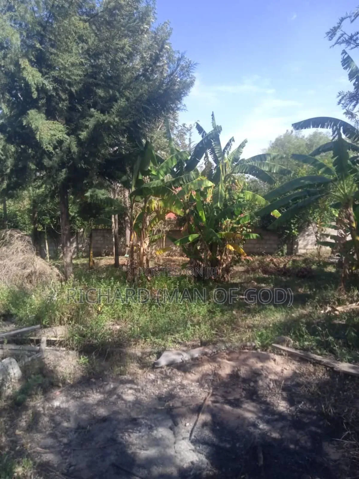 2bdrm Apartment in Central Business Area for rent