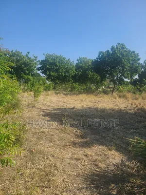 Plot for Sale at Kigamboni
