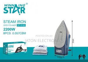 Winning Star Steam Iron