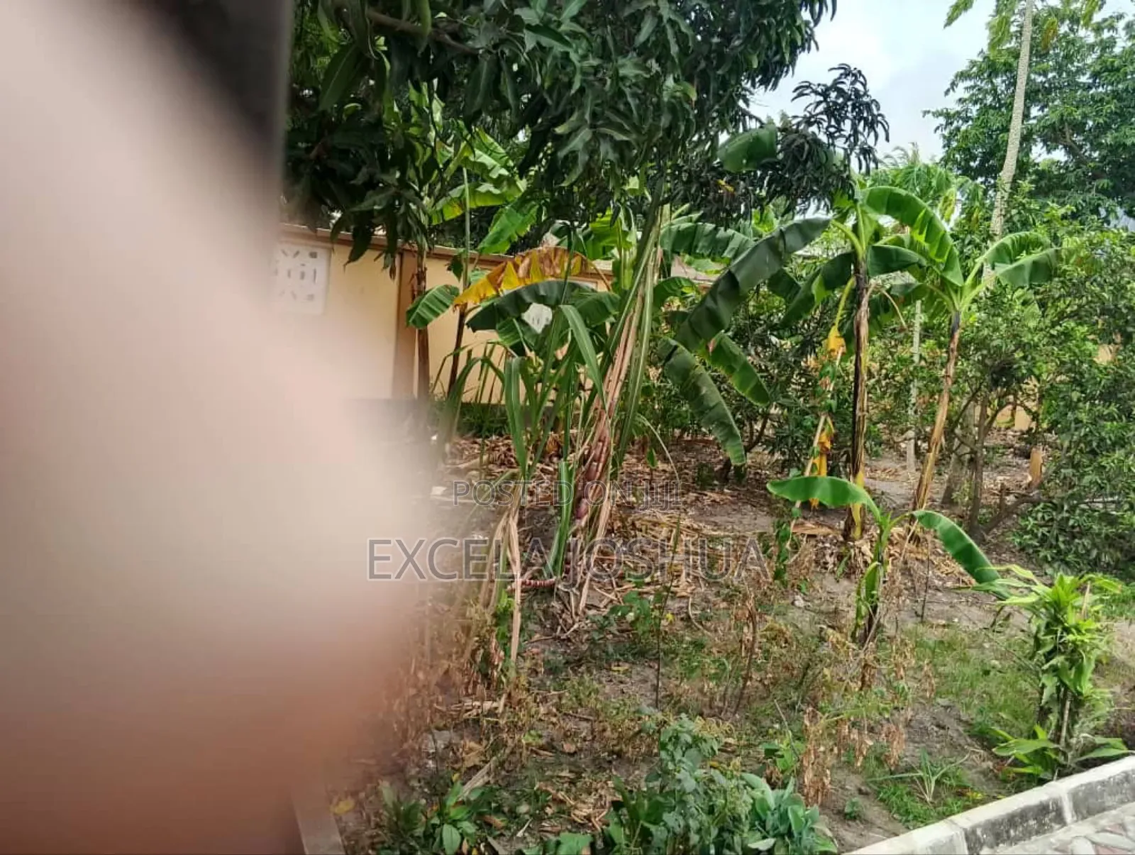 3bdrm House in Excela Joshua, Goba for sale