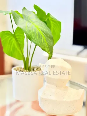 Furnished 3bdrm Apartment in Kariakoo for rent