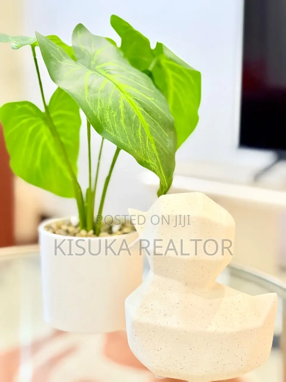 Furnished 3bdrm Apartment in Kariakoo, Ilala for rent