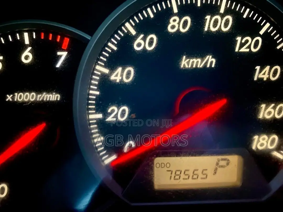 Toyota Land Cruiser 2010 Gray