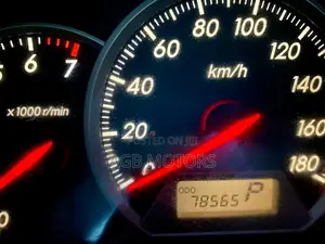Toyota Land Cruiser 2010 Gray