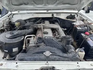 Toyota Land Cruiser 2010 Gray