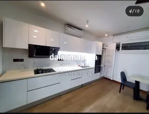 Furnished 1bdrm Apartment in Masaki for rent