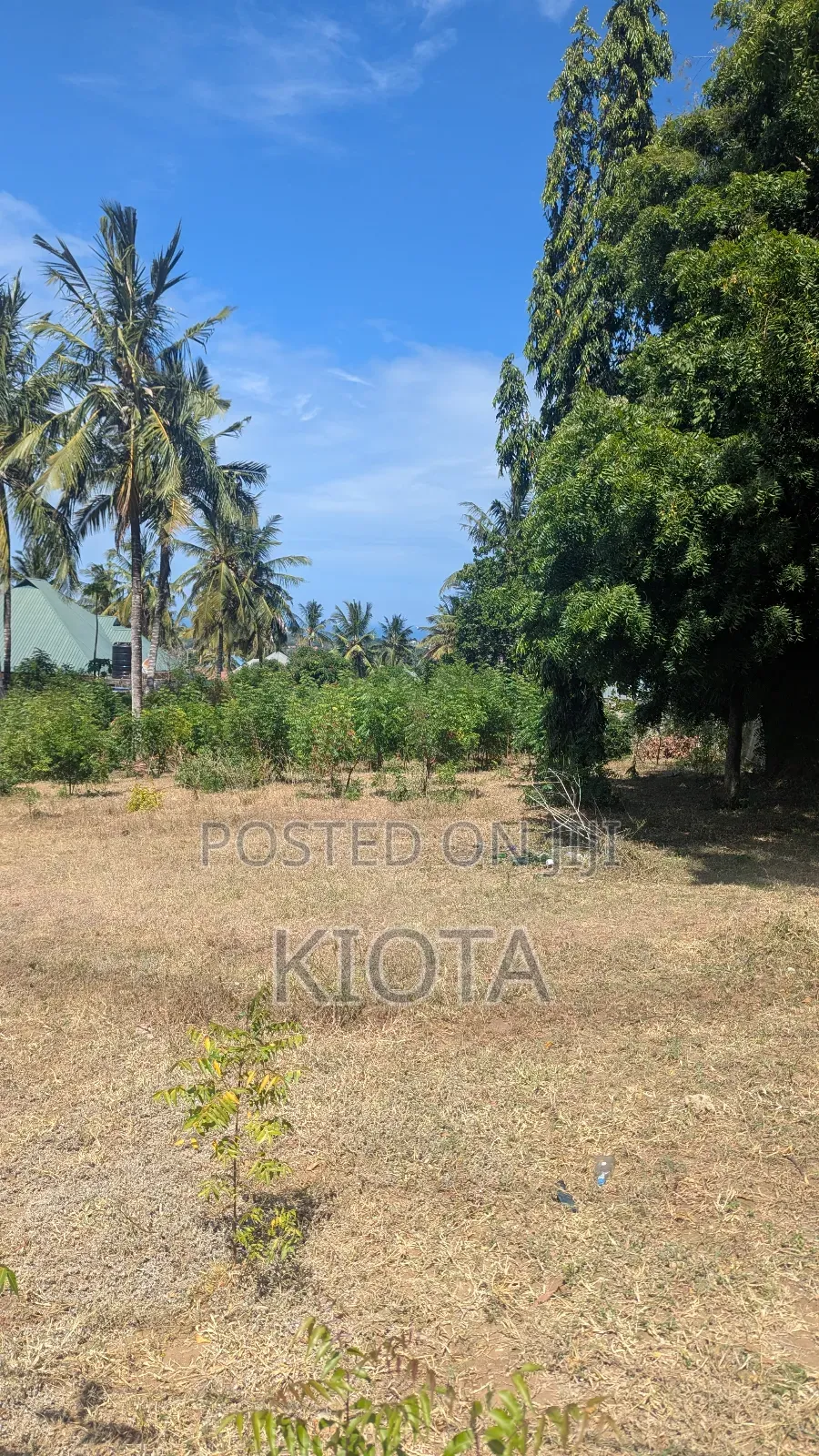 Salasala Kilimahewa