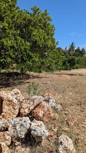 Salasala Kiwanja Nusu Eka Kasoro