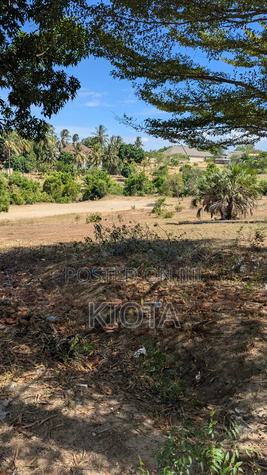 Salasala Kiwanja Nusu Eka Kasoro