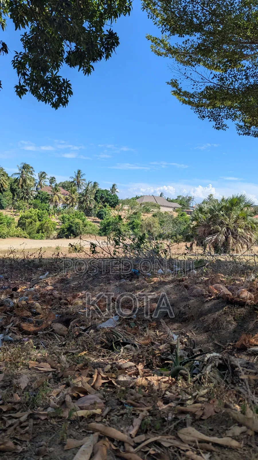 Salasala Kiwanja Nusu Eka Kasoro