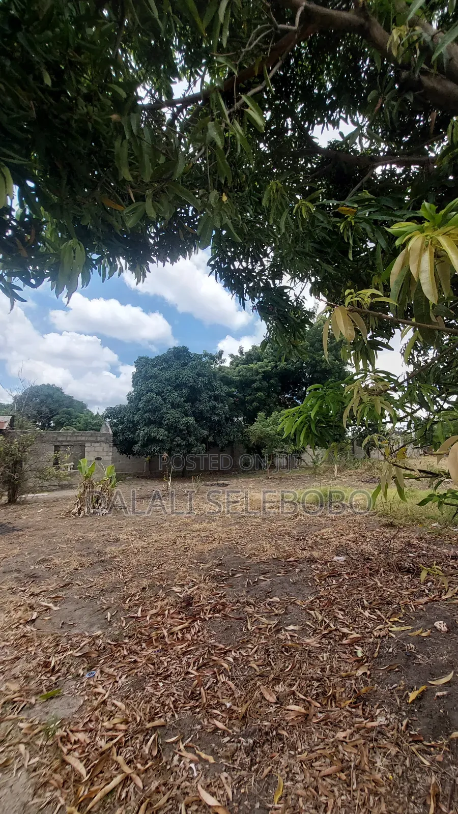 Plot Sale Near by India Oceans Mbez Beach