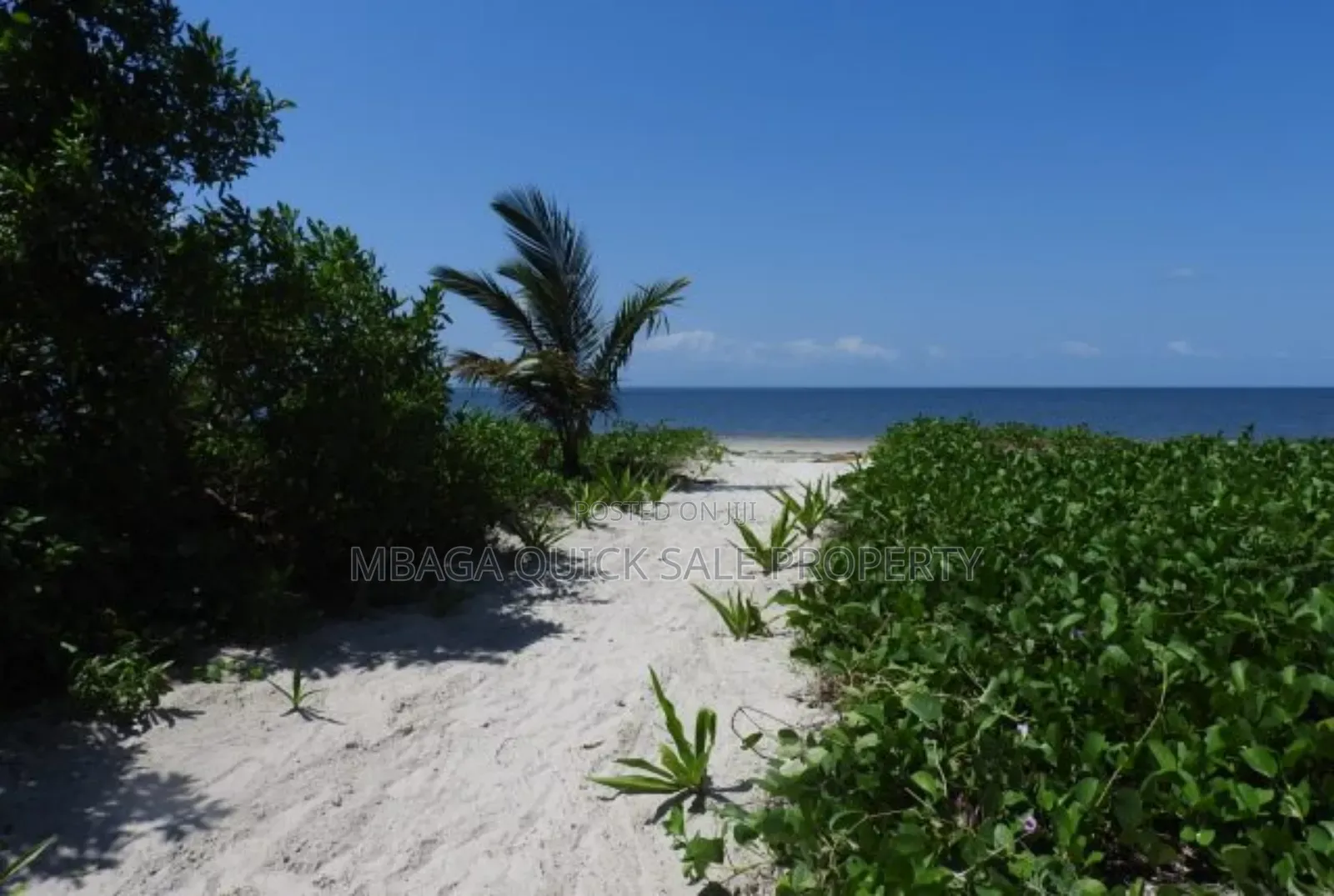 Beach Plot for Sale at Tanga Pangani Ushongo
