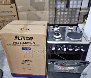 Alitop Free Standing Gas Electricity, Size: 50/50