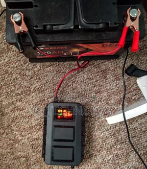 Original Solar/Car Battery Charger/Lifepo4 Battery 12v