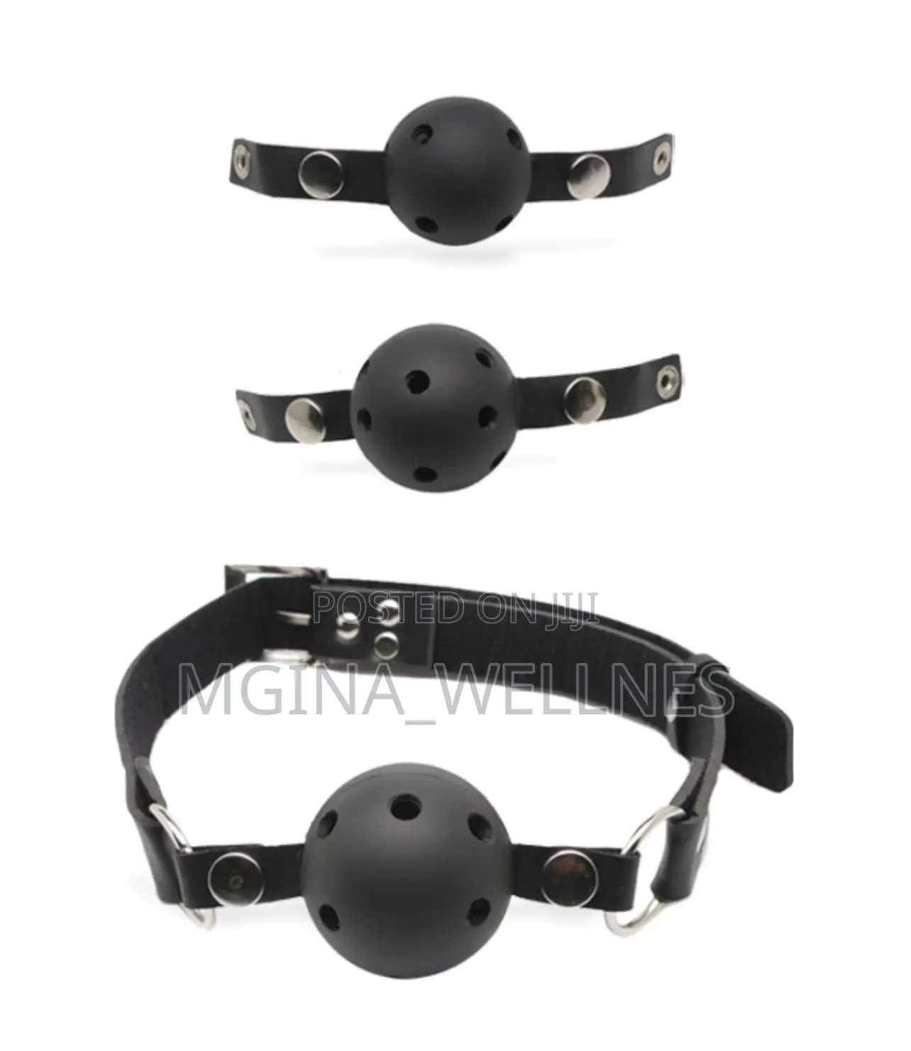 Wild Secret Ball Gag Training System