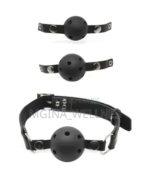 Wild Secret Ball Gag Training System