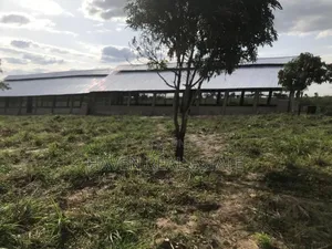 Shamba Linauzwa Kibaha Visiga