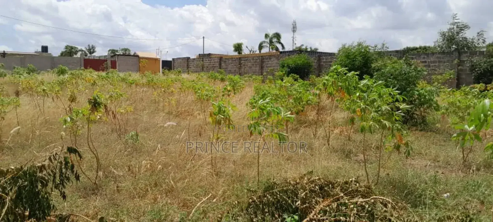 Plot for Sale Tuangoma Stanley