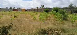 Plot for Sale Tuangoma Stanley
