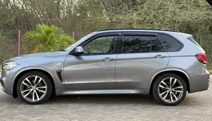 BMW X5 2015 Gray