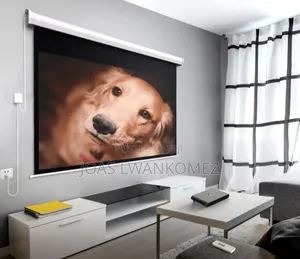Electrical Projector Screen.(200mx200m)