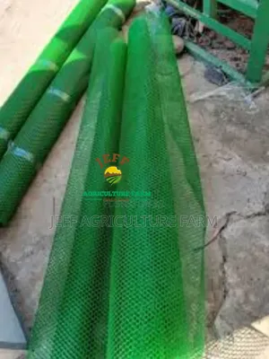 Wavu Wa Banda Za Kuku