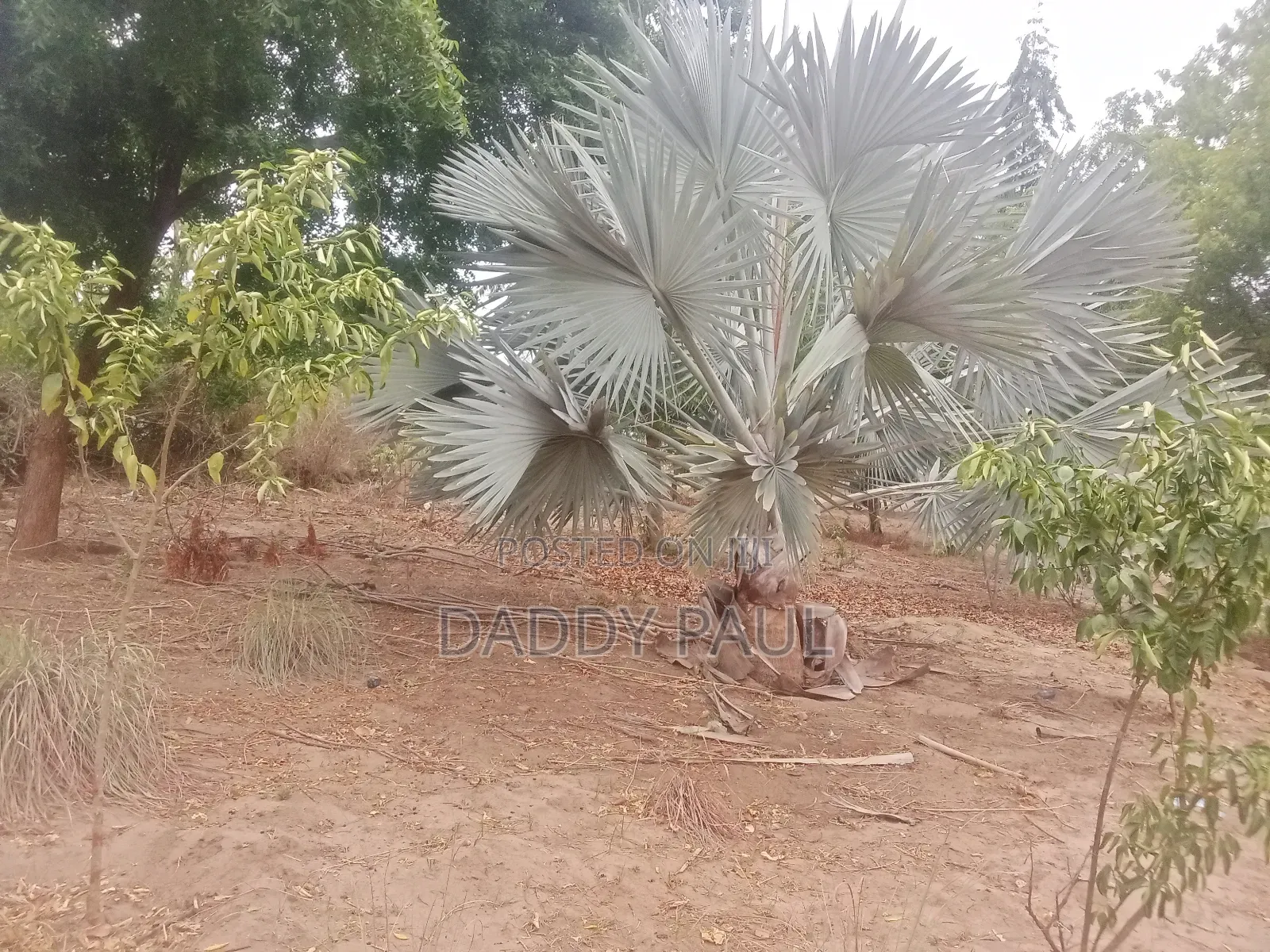 A Plot Facing Street Road for Sale