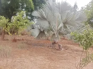 A Plot Facing Street Road for Sale