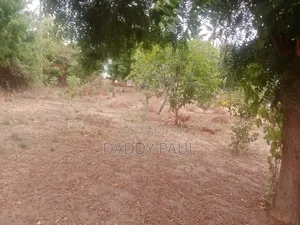 A Plot Facing Street Road for Sale