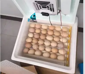 Full Automatic Incubator Machine Ya Kutotolesha Mayai 30