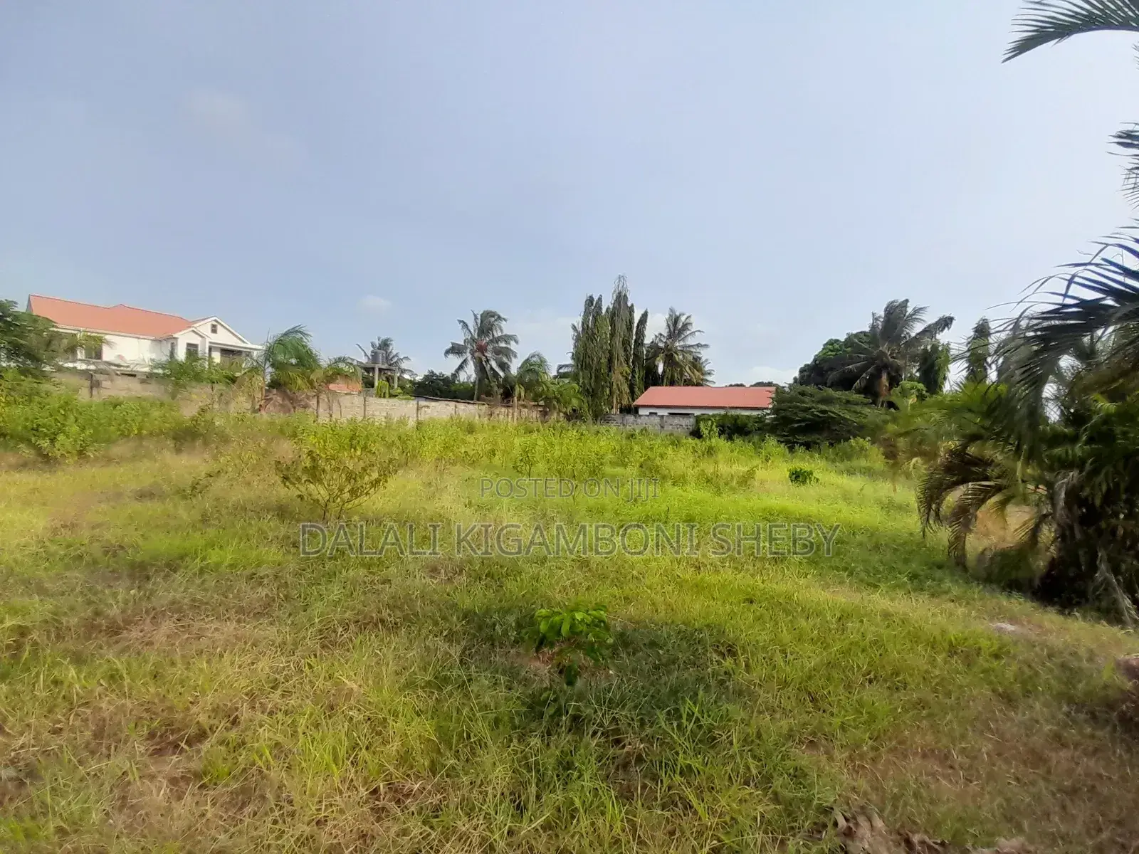 Eneo Linauzwa Tuangoma