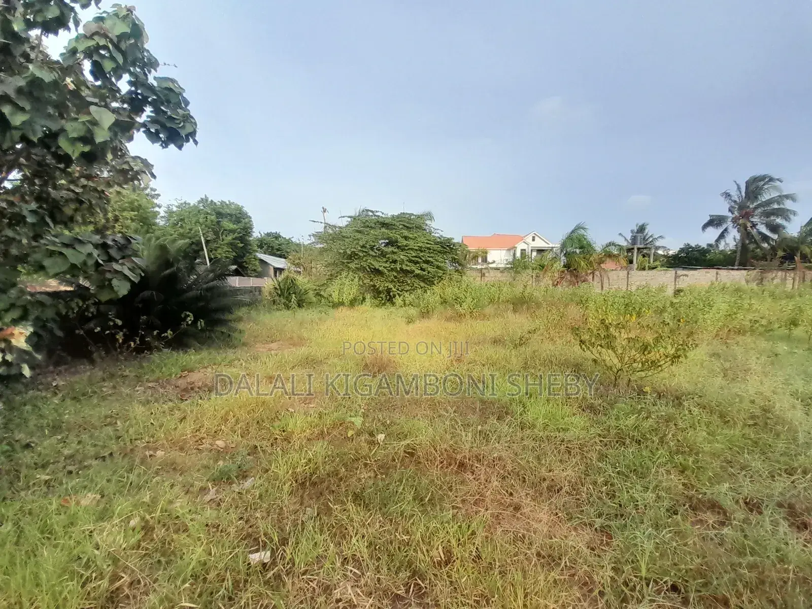 Eneo Linauzwa Tuangoma