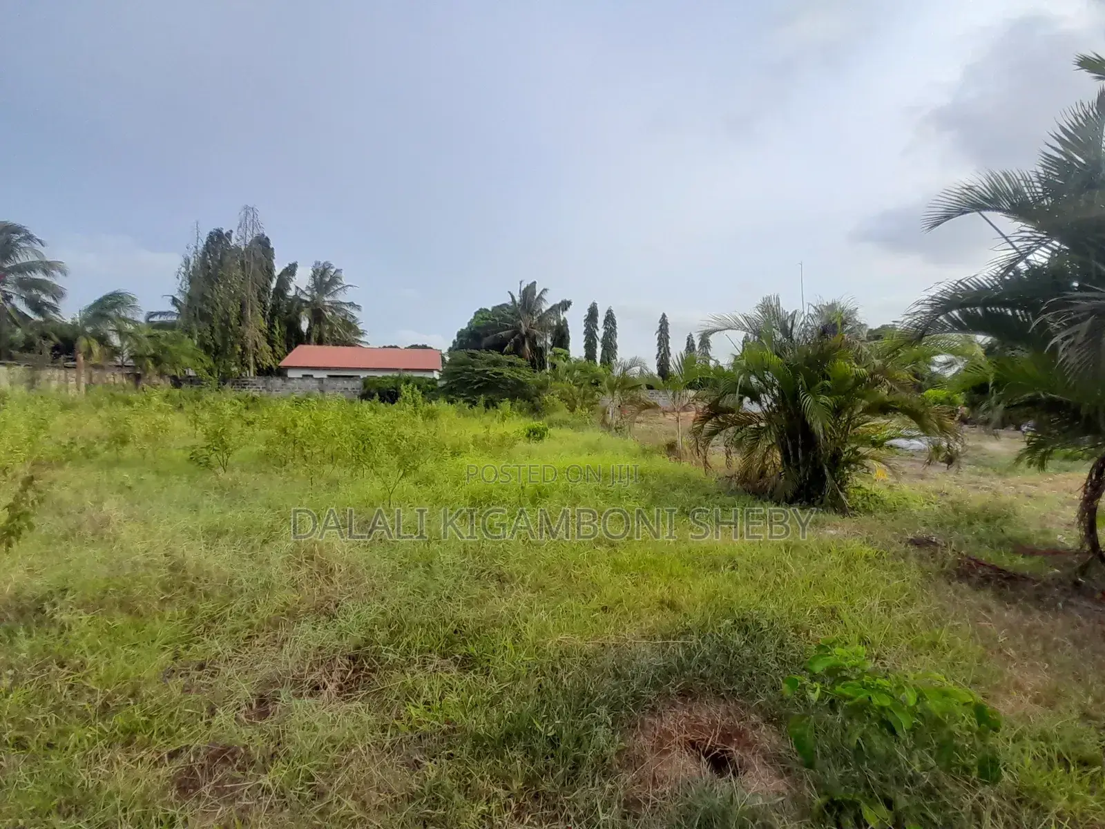 Eneo Linauzwa Tuangoma