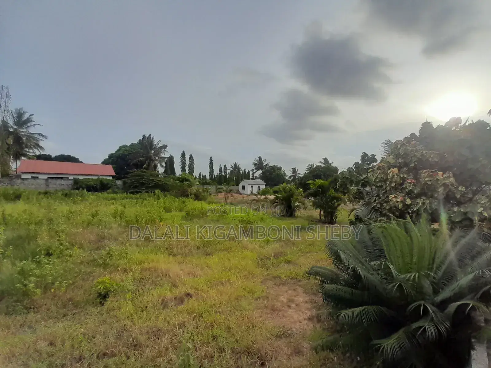 Eneo Linauzwa Tuangoma