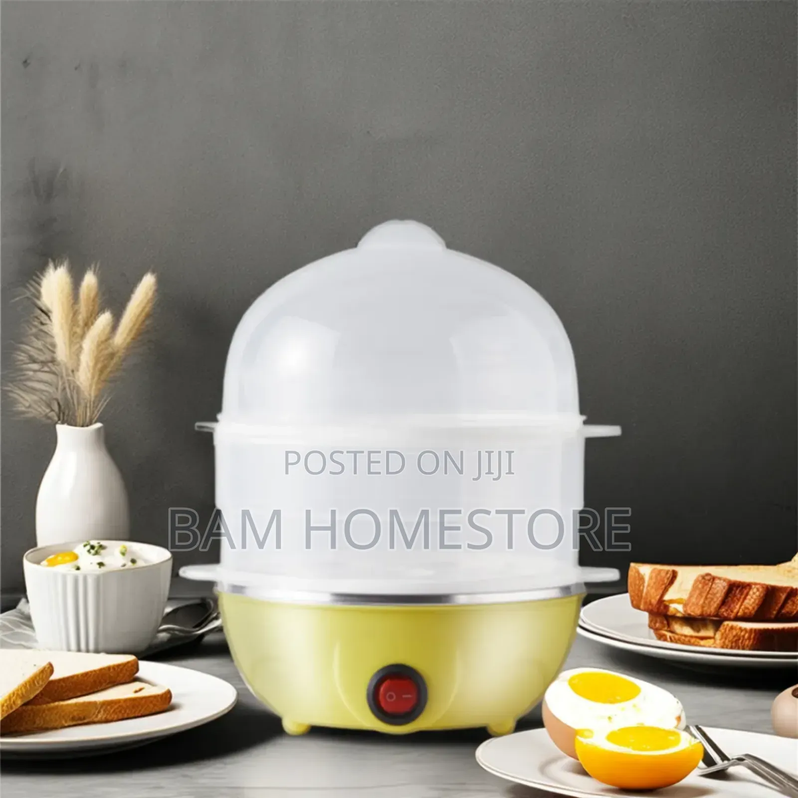 Electric Steamer (Egg Steamer)