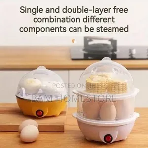 Electric Steamer (Egg Steamer)