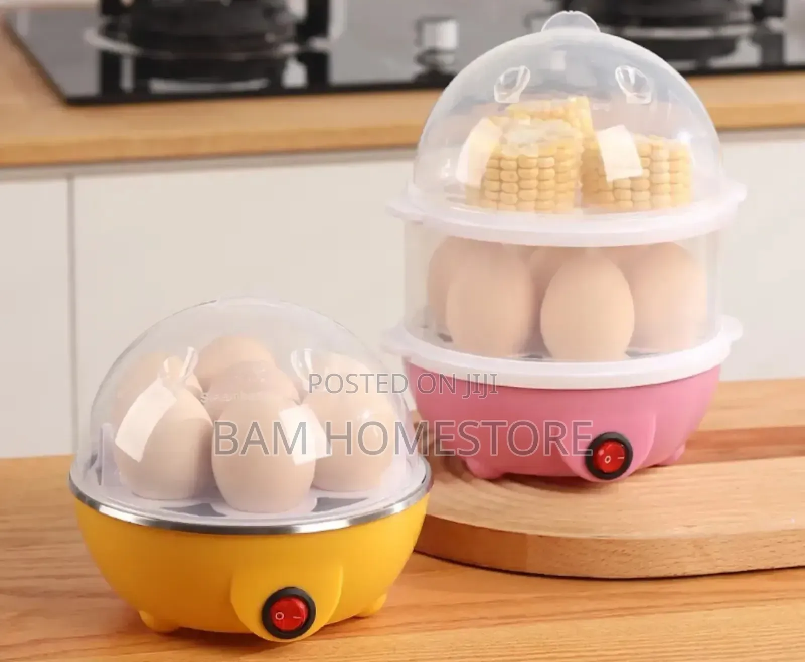 Electric Steamer (Egg Steamer)