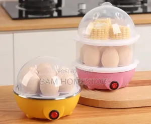 Electric Steamer (Egg Steamer)
