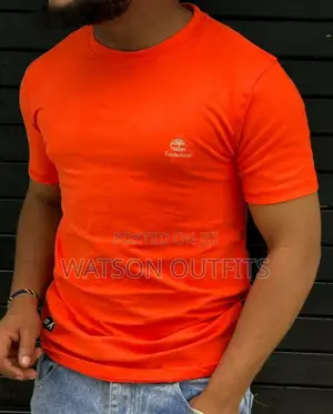 Tshirts Mpya Na Kali Mno Za Chapa Ya Timberland
