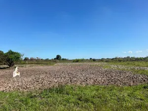 Eneo Linauzwa Mkuranga